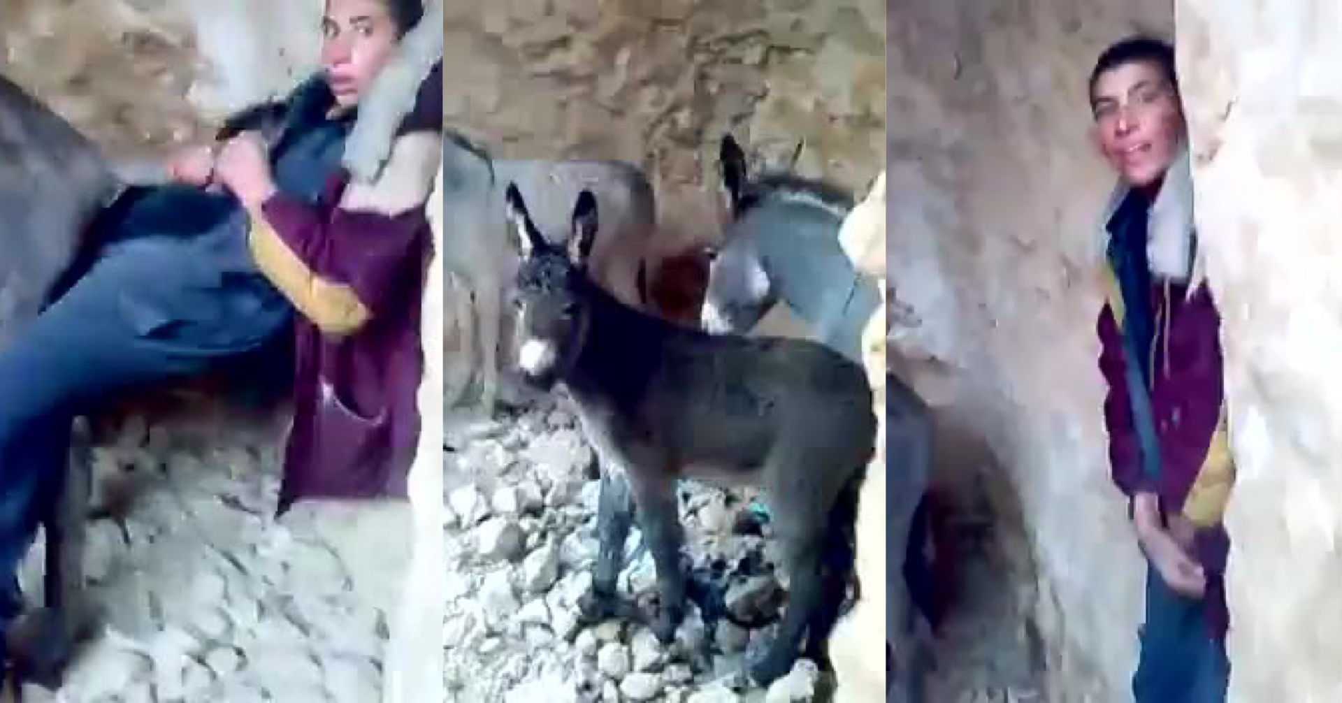 全網瘋傳 西藏山洞撞破男子屌驢仔