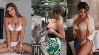 秘魯女模Paula Manzanal峇里度假 遭獼猴扯衫露胸